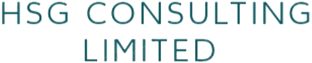 HSG Consulting